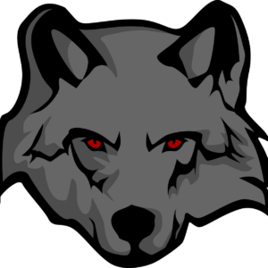 woo test updated